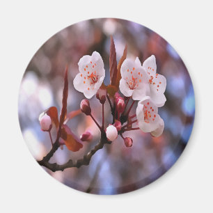 Cherry Blossom Cluster With A Pink and Blue Magnet