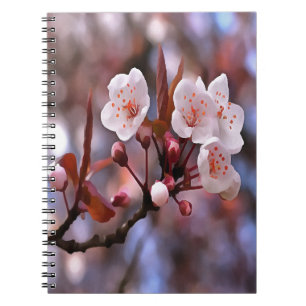 Cherry Blossom Cluster With A Pink and Blue Notebook