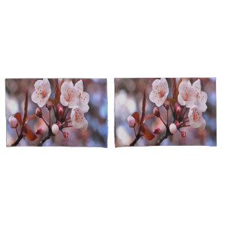 Cherry Blossom Cluster With A Pink and Blue Pillowcase