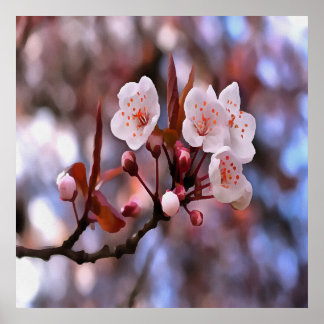 Cherry Blossom Cluster With A Pink and Blue Poster