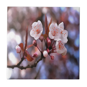 Cherry Blossom Cluster With A Pink and Blue Tile