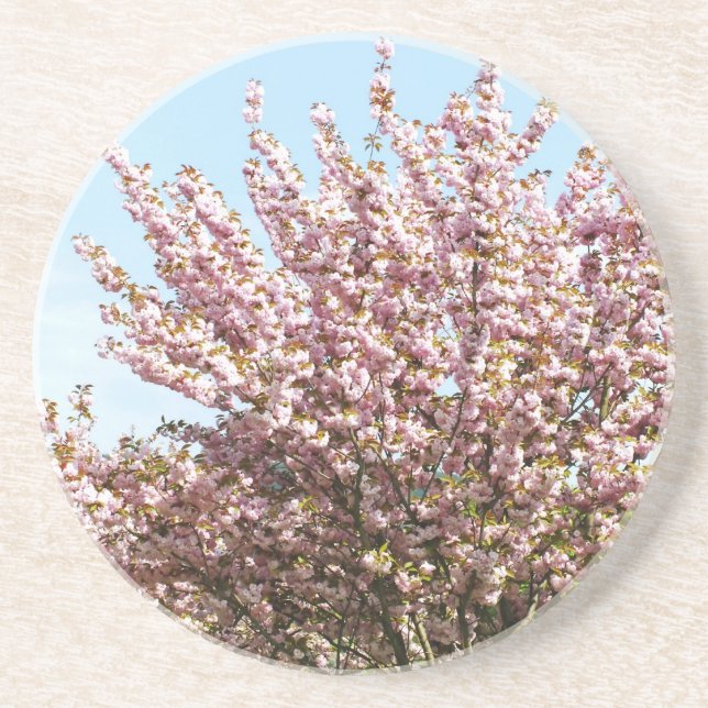 Cherry Blossom Coaster (Front)