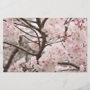 Cherry Blossom Craft Paper