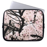 Cherry Blossom Edited