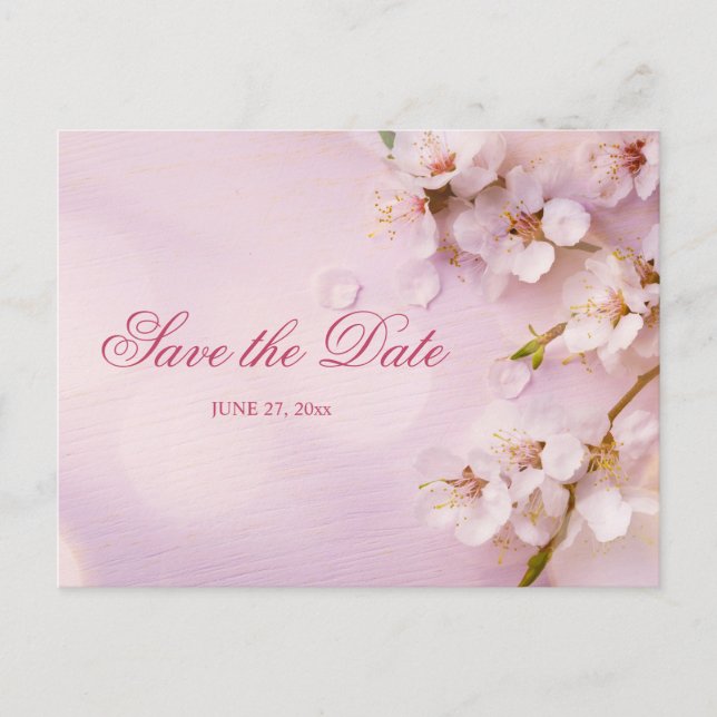 Cherry Blossom Elegant Save The Date Postcard (Front)