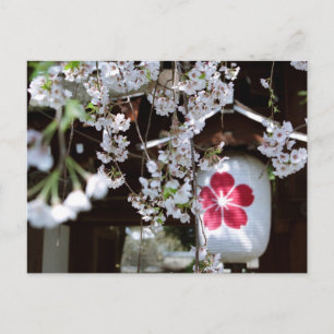 Cherry Blossom Festival in Kyoto Postcard