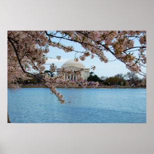 Cherry Blossom Festival & Jefferson Memorial Poster
