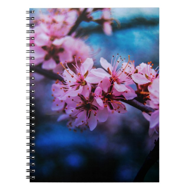 Cherry Blossom Fine Art Photograph Spiral Notebook (Front)