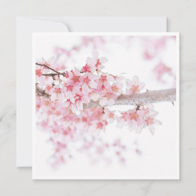 CHERRY BLOSSOM FLORAL FLAT CARD (Front)