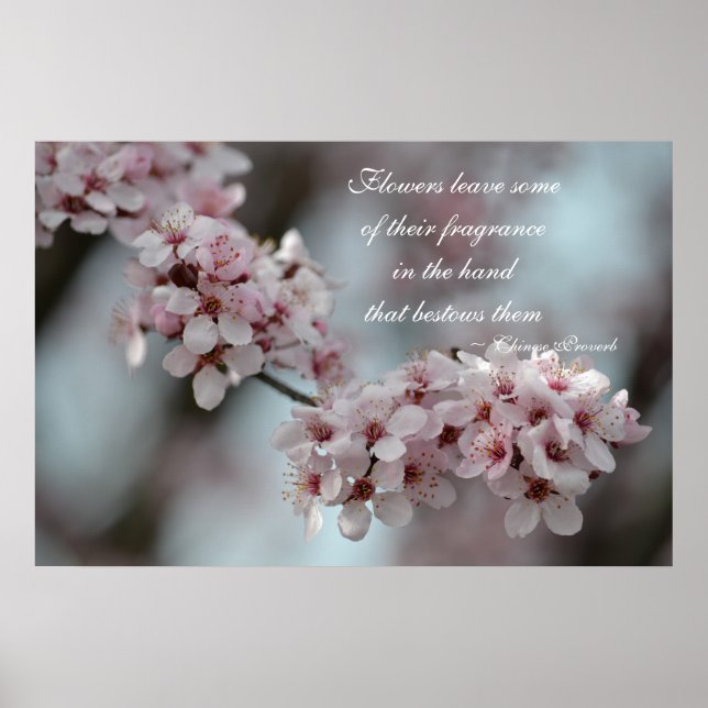 Cherry Blossom Floral Poster (Front)