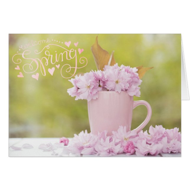 Cherry Blossom Flower Floral Stilllife Spring Text (Front Horizontal)