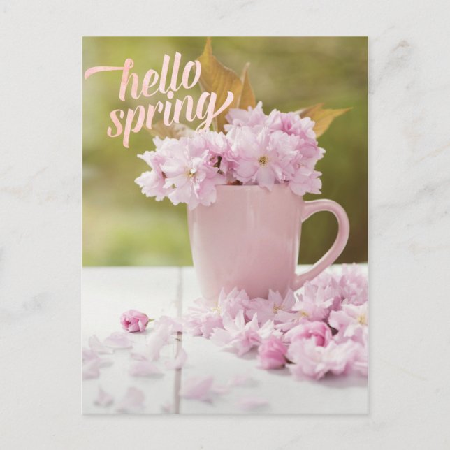 Cherry Blossom Flower Floral Stilllife Spring Text Postcard (Front)