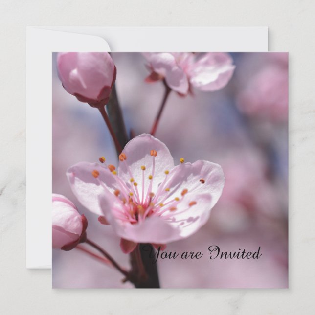 Cherry Blossom Flowers Birthday Invitation (Front)