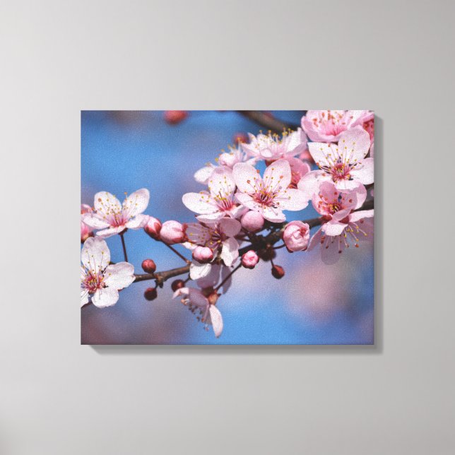 Cherry Blossom Flowers Canvas Print (Front)