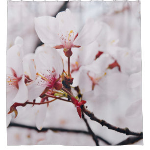 CHERRY BLOSSOM FLOWERS IN MACRO SHOT SHOWER CURTAIN