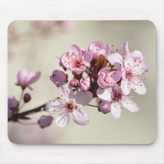 Cherry Blossom Flowers Mouse Mat (Front)