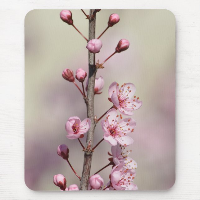Cherry Blossom Flowers Mouse Mat (Front)