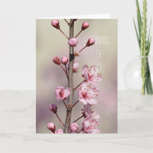 Cherry Blossom Flowers Thinking of You Card