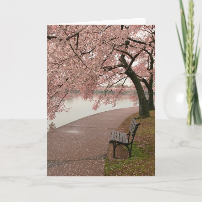 Cherry Blossom Greeting Card (Front)