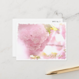 Cherry Blossom "Hayashi-ichigo" ポストカード Postcard