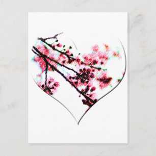 Cherry Blossom Heart Postcard