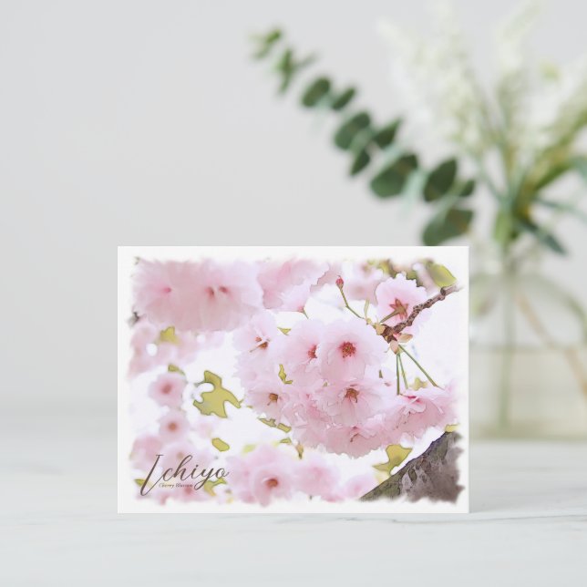Cherry Blossom 'Ichiyo' Postcard (Standing Front)