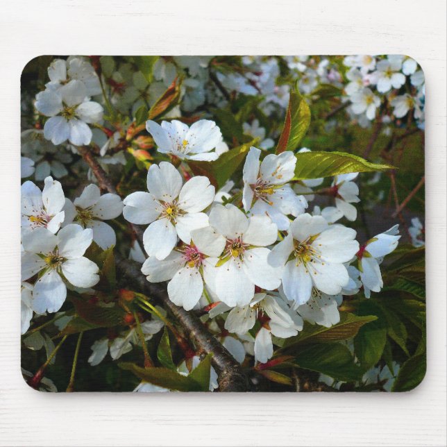 Cherry Blossom II Mouse Mat (Front)