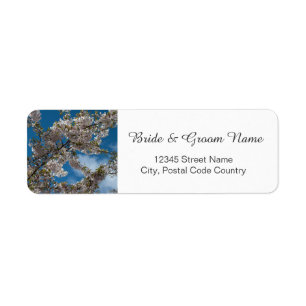 cherry blossom in blue sky bride and groom address