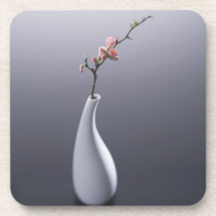 Cherry blossom in vase coaster