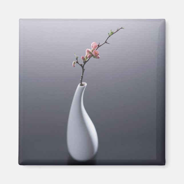 Cherry blossom in vase magnet (Front)