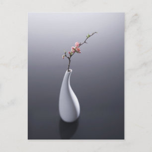 Cherry blossom in vase postcard
