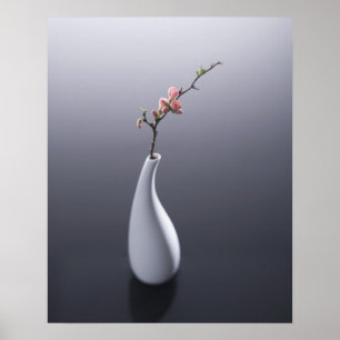 Cherry blossom in vase poster