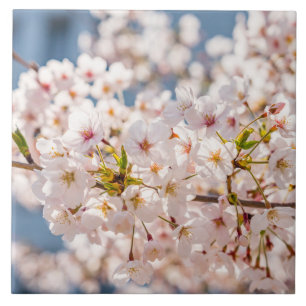 Cherry blossom Japan floral pink pretty unique Tile
