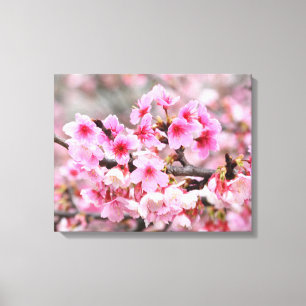 Cherry blossom Japanese floral pink Tree Flowers Canvas Print