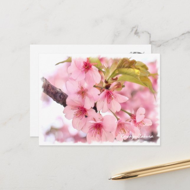 Cherry blossom: Kawazu-Zakura Postcard (Front/Back In Situ)