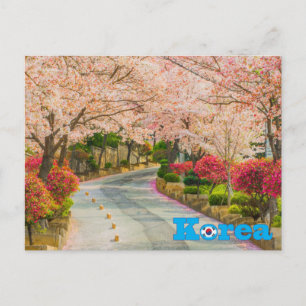 Cherry Blossom Korean Spring Postcard