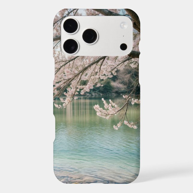 cherry blossom lake (Back)