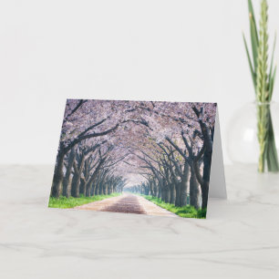 Cherry Blossom Lane Card