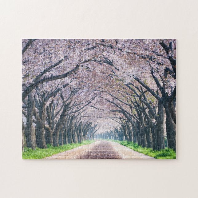 Cherry Blossom Lane Jigsaw Puzzle (Horizontal)