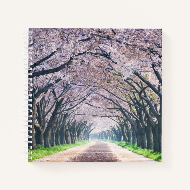 Cherry Blossom Lane Notebook (Front)
