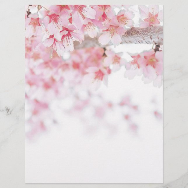 CHERRY BLOSSOM LETTERHEAD (Front)