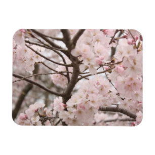 Cherry Blossom Magnet