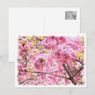 Cherry Blossom "Matsumae-benimurasaki" Postcard