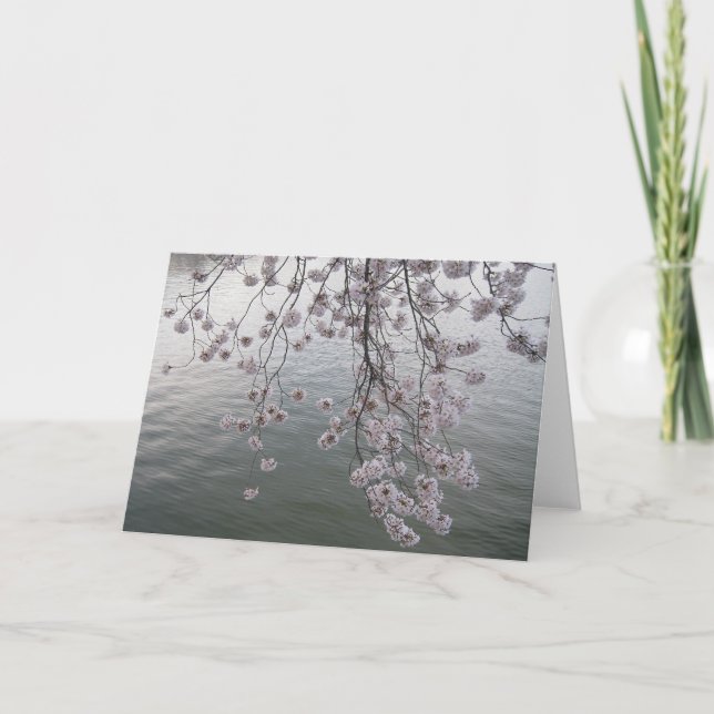 cherry blossom minus crowd card (Front)