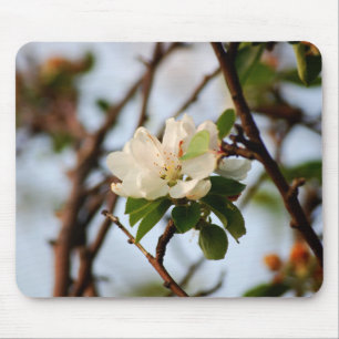 Cherry Blossom Mouse Mat