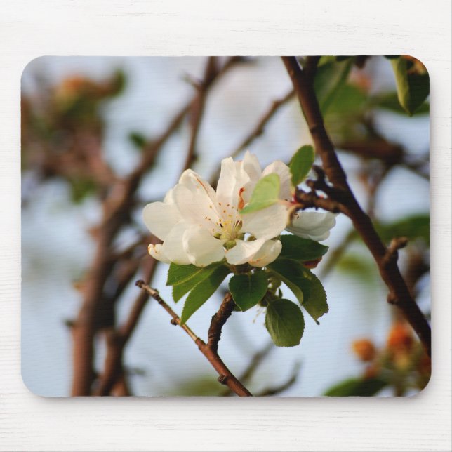Cherry Blossom Mouse Mat (Front)
