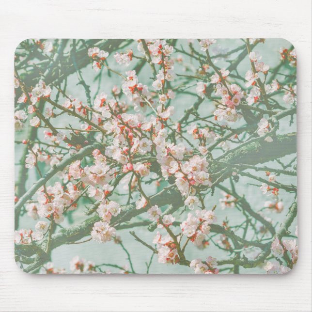 Cherry blossom mouse mat (Front)