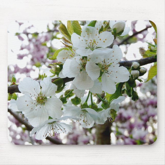 Cherry Blossom Mouse Mat (Front)
