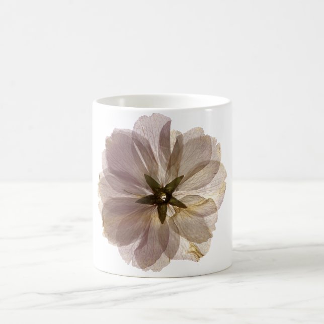 Cherry Blossom Mug 2 (Center)
