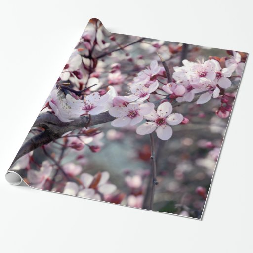 Image of Cherry Blossom Nature Floral Wrapping Paper